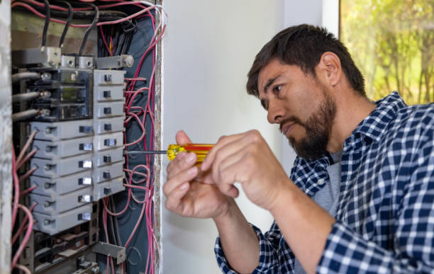Best Ceiling Fan Installation Electrician  in Norris City, IL
